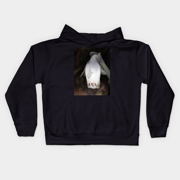 Monotropa uniflora (Indian pipe plant) flower close-up Kids Hoodie by SDym Photography